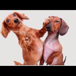 Have a wonderful day‼️